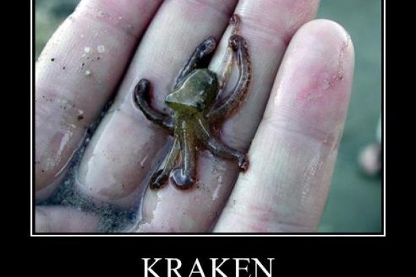 Кракен сайт бошки