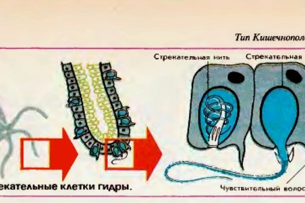 Кракен зеркало сегодня