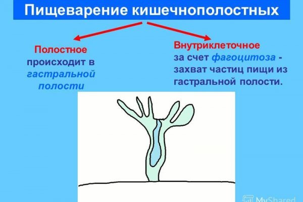 Что такое кракен площадка