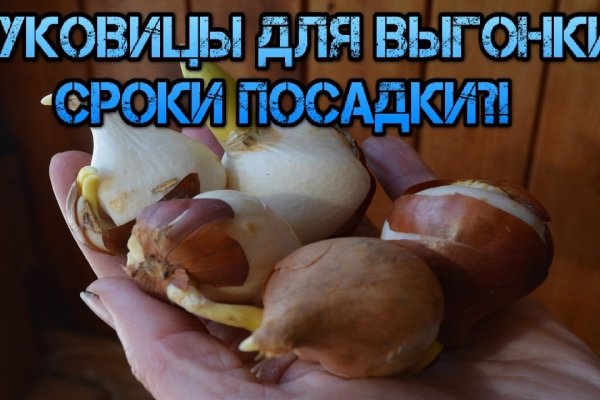 Как восстановить кракен
