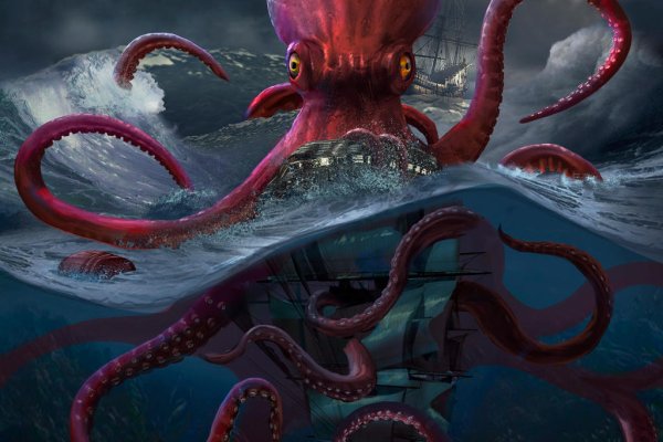 Kraken whitenet market