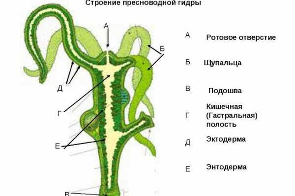 Кракен найдется все
